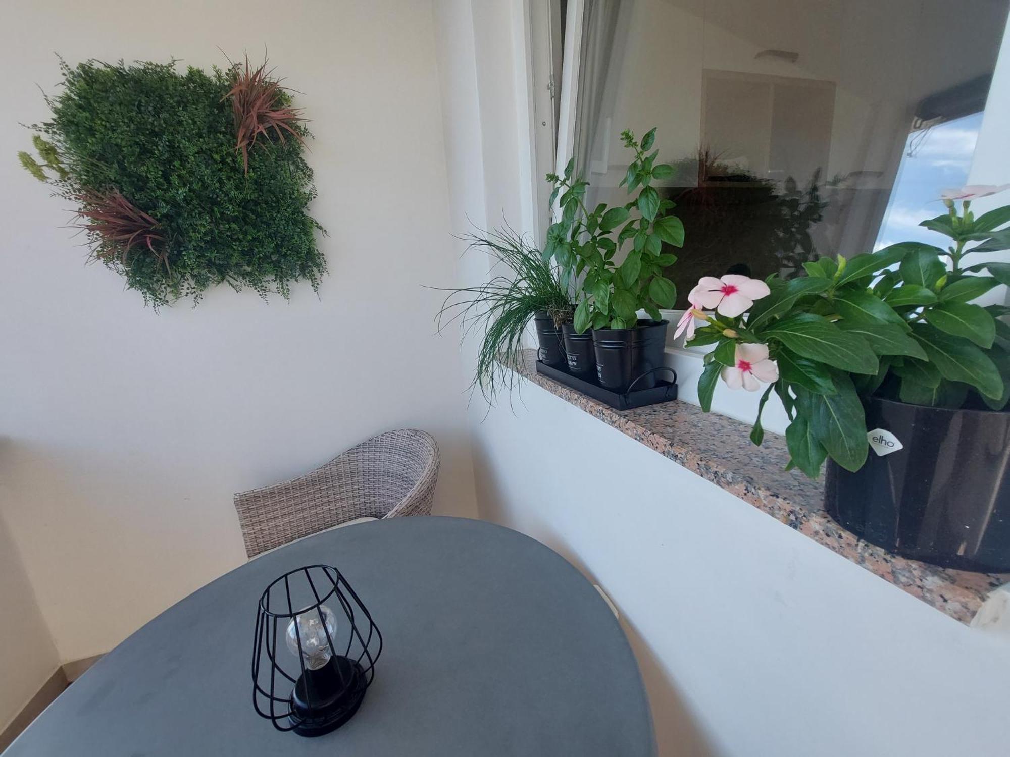 Petra Rooms And Apartments Palit 客房 照片